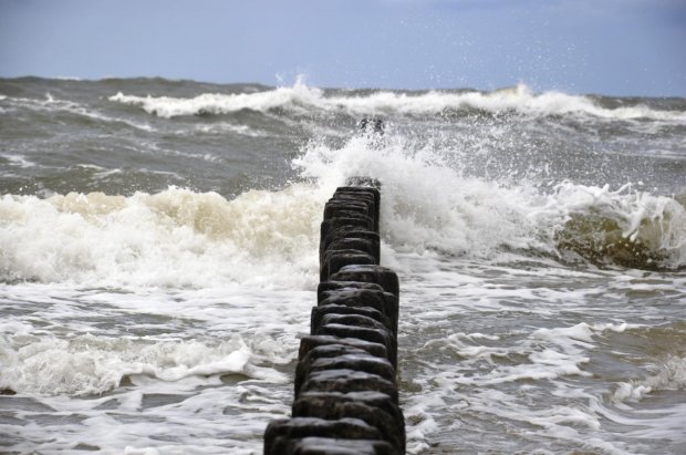 Image with missing alt attribute found on fotosik.pl