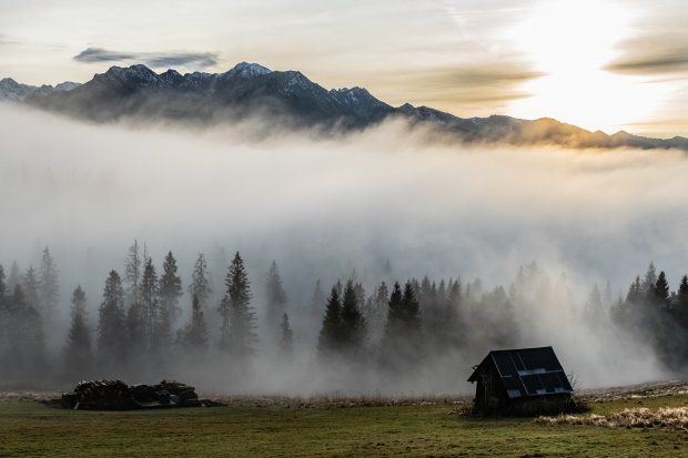 Image with missing alt attribute found on fotosik.pl