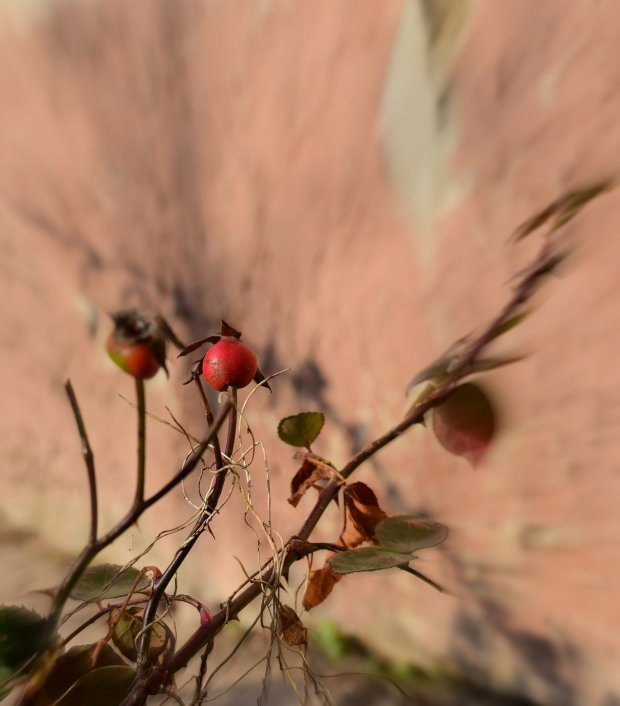 Image with missing alt attribute found on fotosik.pl