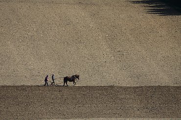 Image with missing alt attribute found on fotosik.pl