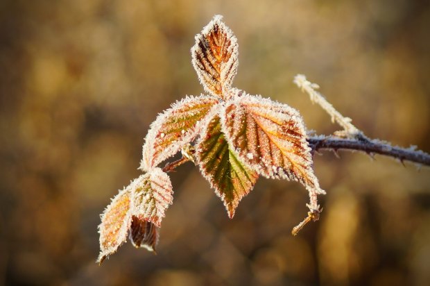 Image with missing alt attribute found on fotosik.pl