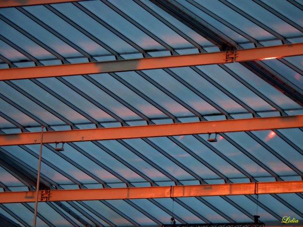 Image with missing alt attribute found on fotosik.pl