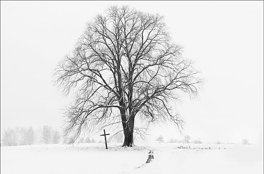 Image with missing alt attribute found on fotosik.pl