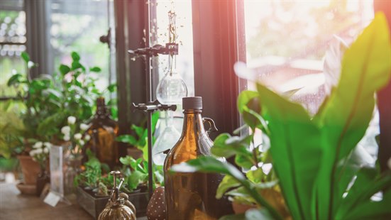 Image with missing alt attribute found on nhi.no