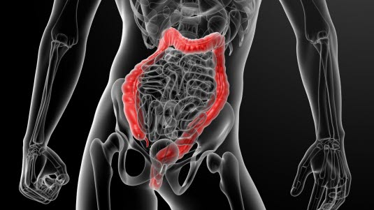 Image with missing alt attribute found on nhi.no