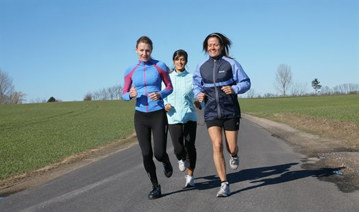 Image with missing alt attribute found on nhi.no