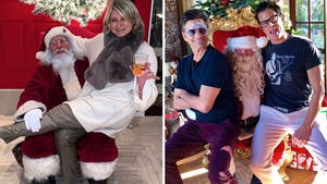 Image with missing alt attribute found on tmz.com