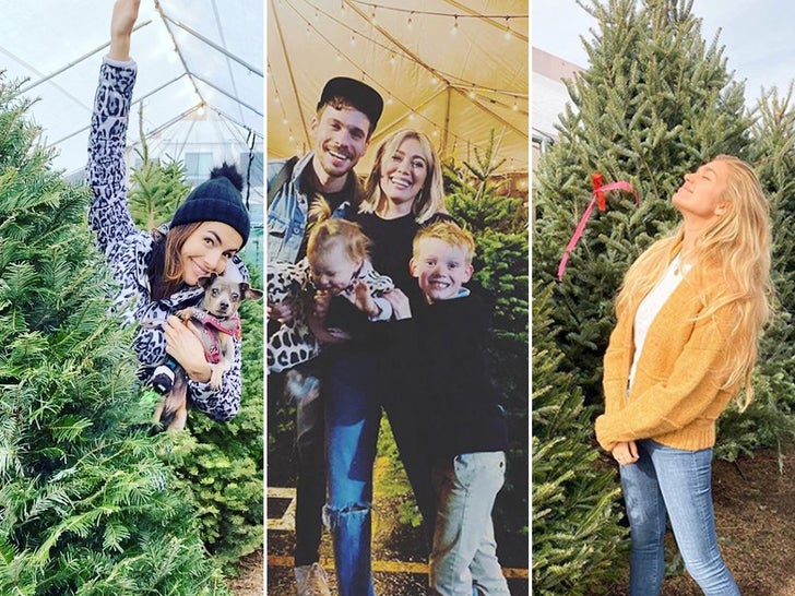 Image with missing alt attribute found on tmz.com