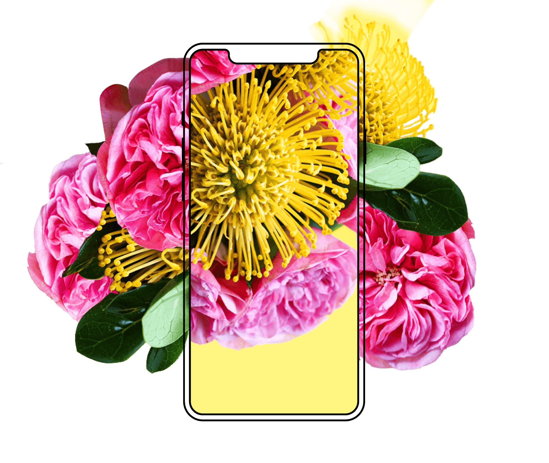 Image with missing alt attribute found on acolorstory.com