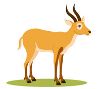 Gazelle Clipart