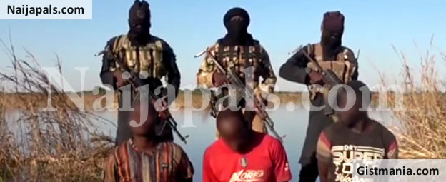 Image with missing alt attribute found on gistmania.com