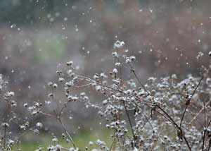 Image with missing alt attribute found on gmw.cn