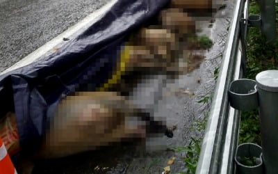 Image with missing alt attribute found on hankyung.com