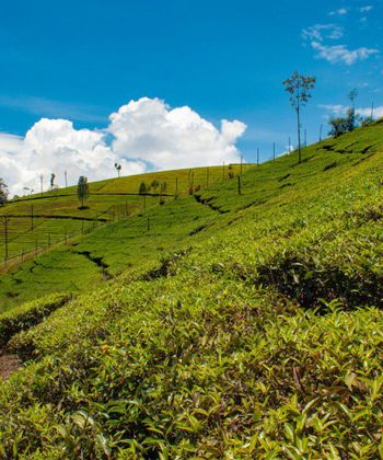 Image with missing alt attribute found on indiahighlight.com