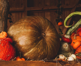 Image with missing alt attribute found on joinfo.ua