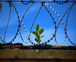 Image with missing alt attribute found on joinfo.ua