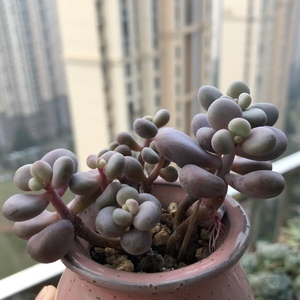 Image with missing alt attribute found on lrgarden.com