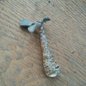 Image with missing alt attribute found on lrgarden.com