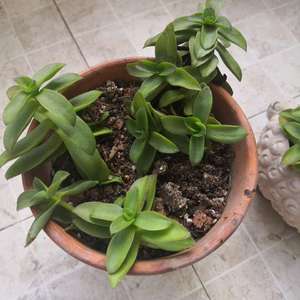 Image with missing alt attribute found on lrgarden.com