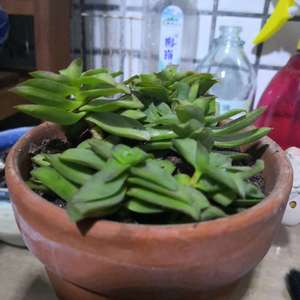 Image with missing alt attribute found on lrgarden.com