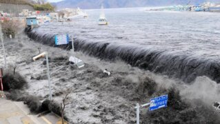 Cuatro informes de expertos de la ONU prevén un panorama demoledor para la Tierra