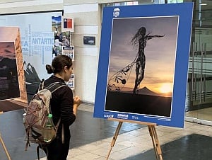 Image with missing alt attribute found on soychile.cl