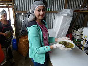 Image with missing alt attribute found on soychile.cl