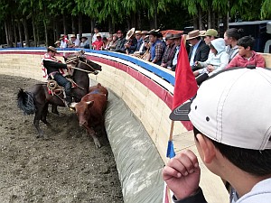 Image with missing alt attribute found on soychile.cl