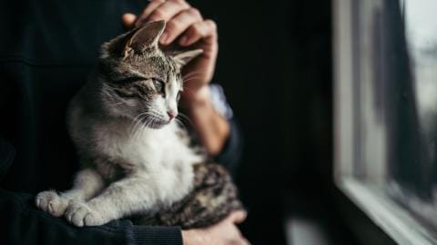 Image with missing alt attribute found on femmesdaujourdhui.be