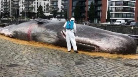 Image with missing alt attribute found on femmesdaujourdhui.be