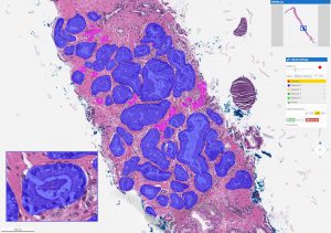 Image with missing alt attribute found on technews.tw