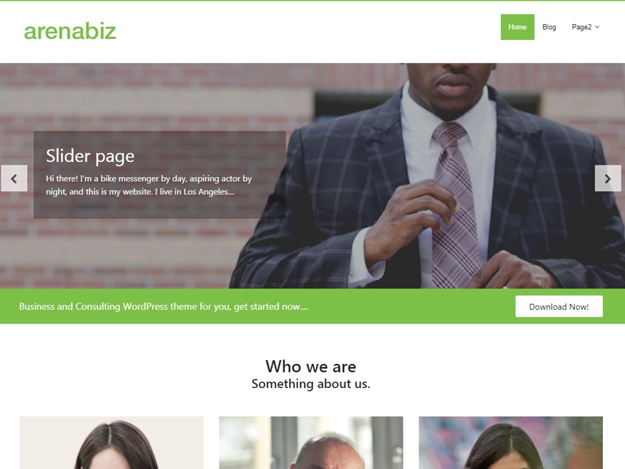 arenabiz WordPress template for business