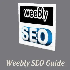 Image with missing alt attribute found on webnots.com