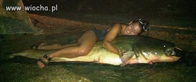 Image with missing alt attribute found on wiocha.pl