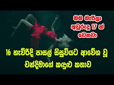 Image with missing alt attribute found on gossiplankanews.com