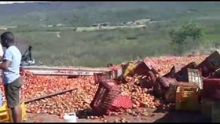 Image with missing alt attribute found on 180graus.com