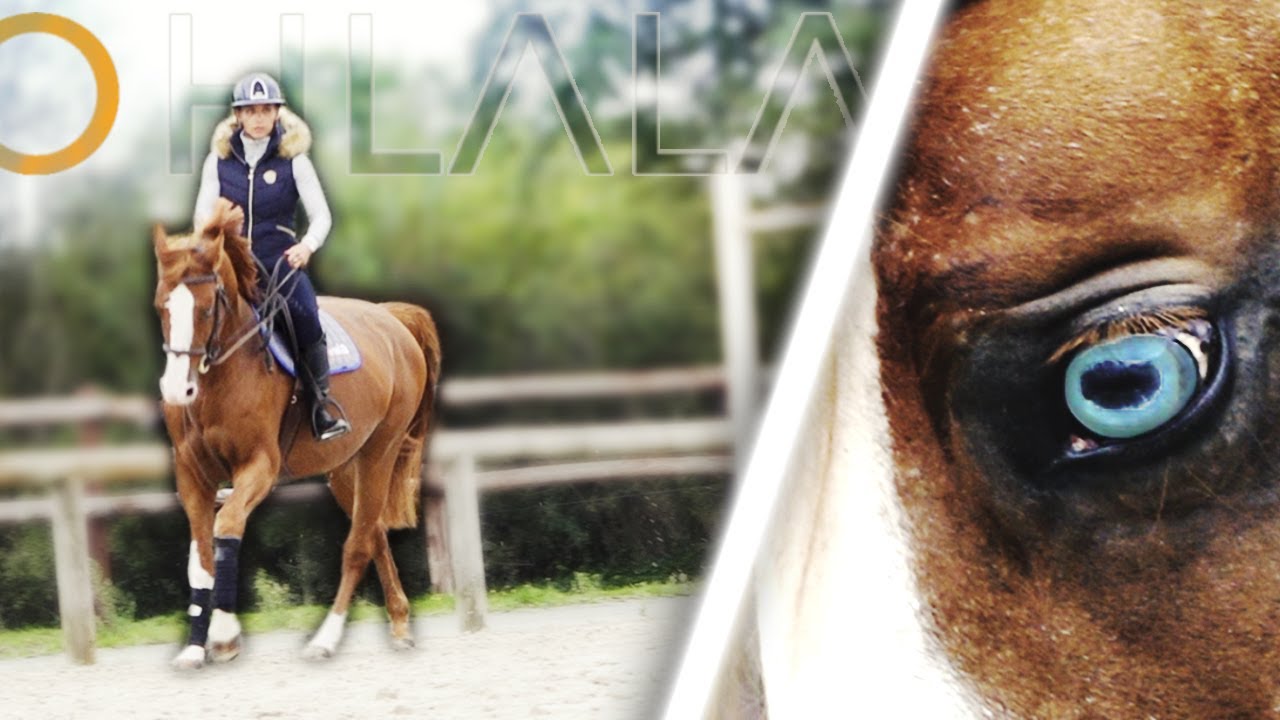 Image with missing alt attribute found on ohlala-sellerie.com