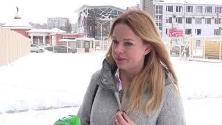 У Шевченківському районі волонтери встановили котобудинок