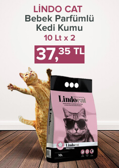 Image with missing alt attribute found on epttavm.com