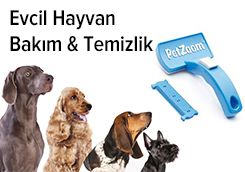 Image with missing alt attribute found on epttavm.com