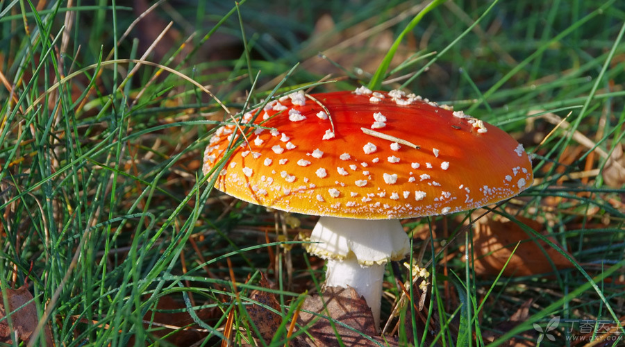 Image with missing alt attribute found on dxy.com