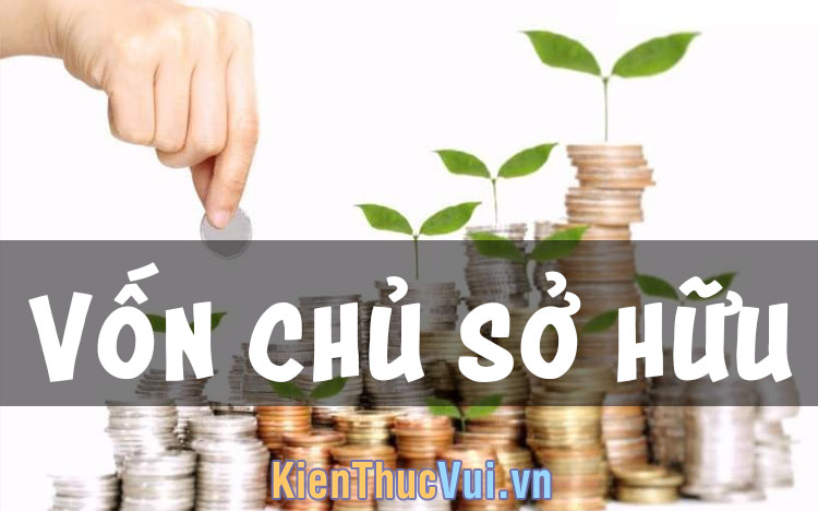 Vốn chủ sở hữu l&agrave; g&igrave;? T&igrave;m hiểu về nguồn Vốn chủ sở hữu v&agrave; c&aacute;ch t&iacute;nh