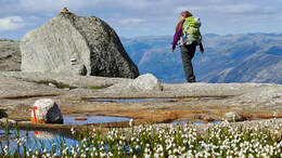od-2017-lysefjordrunde-1 (jpg)