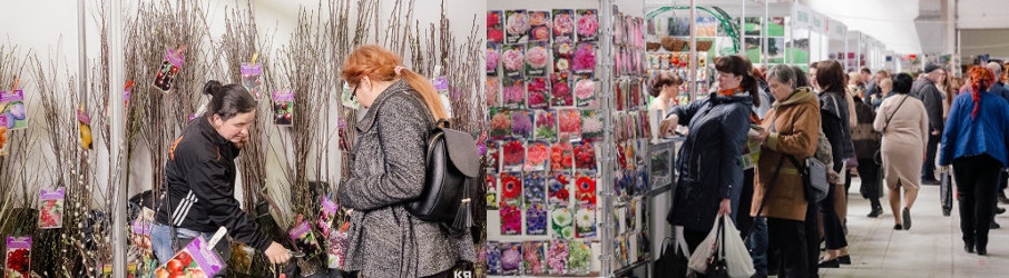 Image with missing alt attribute found on sibdom.ru