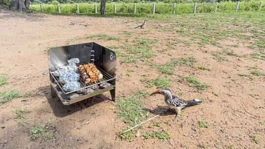 Camping-Grill Fire-Q im Praxistest