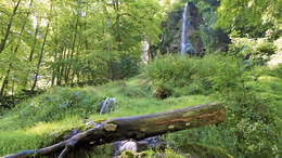 Mobil-Tour: Schwäbische Alb