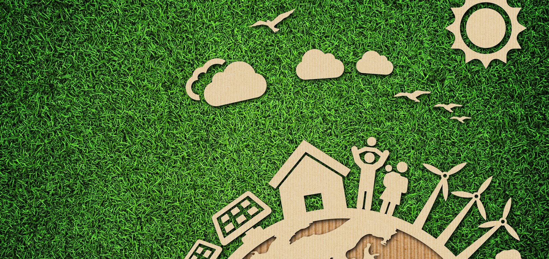 Image with missing alt attribute found on waxie.com