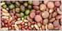 Image with missing alt attribute found on infoagro.com