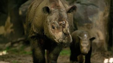 Image with missing alt attribute found on intriper.com