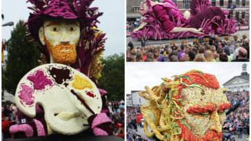 Image with missing alt attribute found on intriper.com